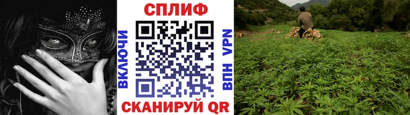 Наркошоп купить ГАШИШ  Каннабис  Галлюциногенные грибы  Меф  АМФЕТАМИН  Луза