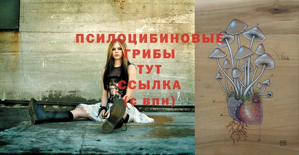 apvp Медвежьегорск
